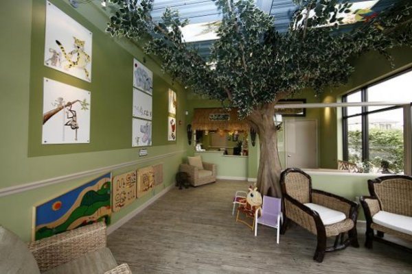 25328_360612709528_573760_n-604×402 Photo of front room of the Nocatee office, showing forest theme